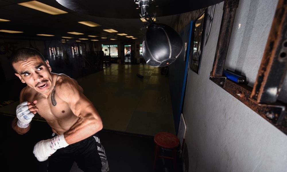 Under the Hand Wraps: Andy Vences